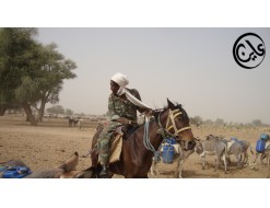 منجم جبل عامر في دارفور: منطقة خارج السيطرة