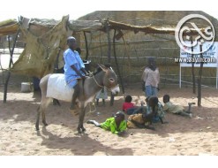 عقد من الزمان على قضية دارفور ومرواحة الحل