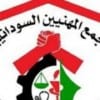 “الحرية والتغيير”: لن نعتمد اي شق لتجمع المهنيين في المجلس المركزي