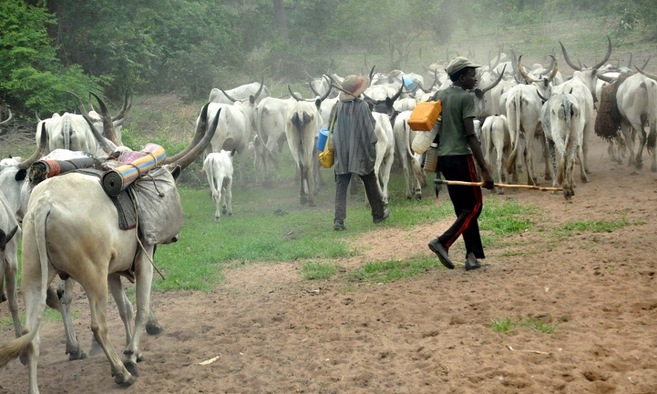 رعاة الماشية يهددون بالتوقف عن دفع الجبايات للحكومة السودانية
