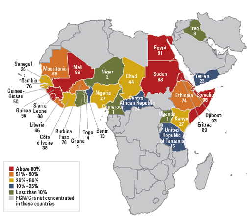 Eradicating FGM in Sudan; Considerable Efforts Needed