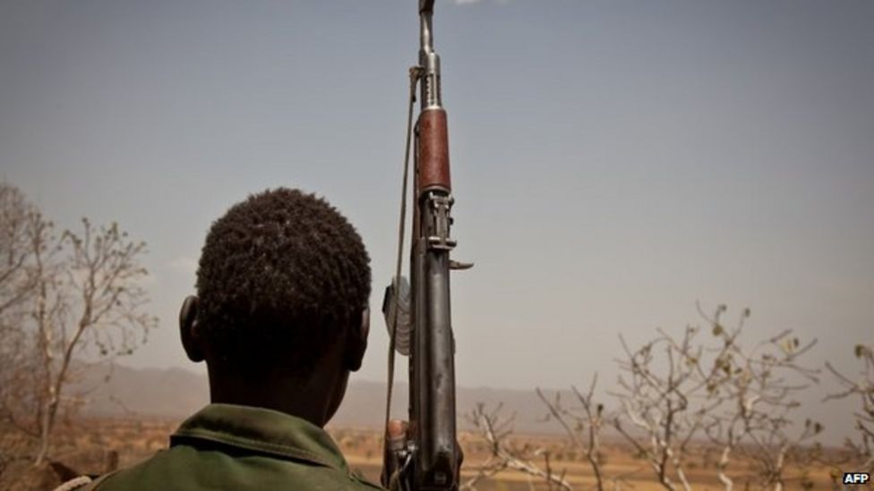 السلاح في دارفور