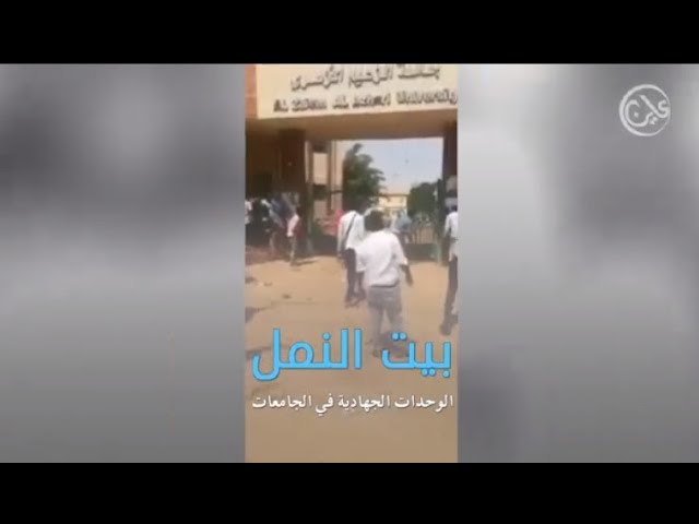 «بيوت النمل».. حذر في جامعات السودان من عودة وحدات الجهاد