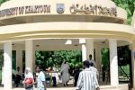 «بيوت النمل».. حذر في جامعات السودان من عودة وحدات الجهاد