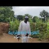 نازحو حرب جنوب كردفان.. عودة للأرض تنقصها أساسيات الحياة  
