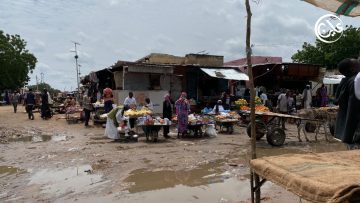 “اعتقالات ونزوح”.. جنوب كردفان تحت وطأة حرب من ثلاث جبهات