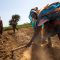 Less bread ahead – Sudan’s hunger gap predicted