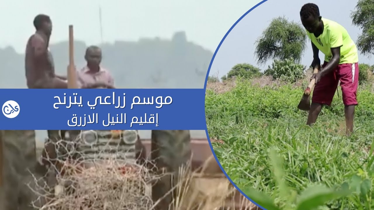 تحضيرات (50%).. الفشل يهدد الموسم الزراعي بالنيل الأزرق