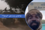 ما الذي حدث في "اردمتا"؟