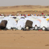 Article photo طويلة