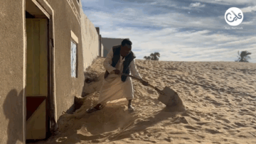 زحف صحراوي