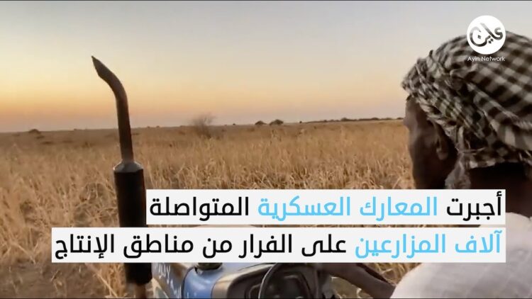 الحرب تُجفف الزراعة في جنوب كردفان