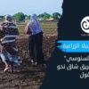 نساء “ود السنوسي” المزارعات.. طريق شاق نحو الحقول