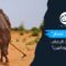 “سماء لا تمطر”.. كيف يهدد الجفاف غذاء السودانيين؟