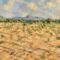 Parched earth and flash floods, poor rains are fuelling famine in Sudan